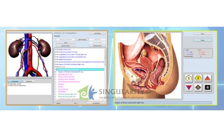 Recognizes Energetic Imbalances –9D-NLS Health analyzer