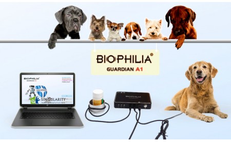 Bioresonance NLS Machine Biophilia Guardian Work For Animals