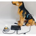 Biophilia Guardian A1 Bioresonance Machine for Dog