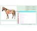 Biophilia Guardian And Tumor Diagnosis...