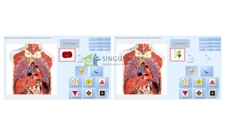 Biophilia Tracker X3 Can Help You Diagnose Breast and Pancreatic Disease 