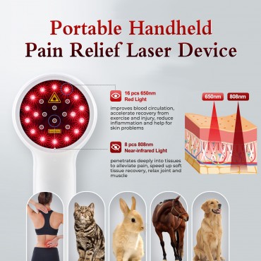 Portable Handheld La...