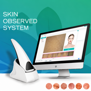 New Model Portable Skin Analyzer