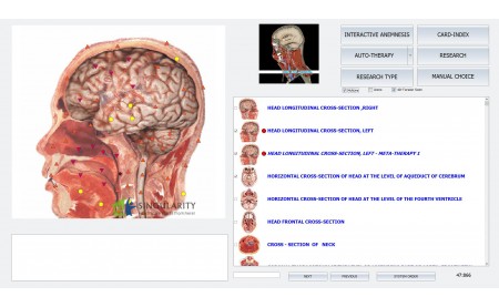 The Using Range Of Biophilia Tracker X3 With 4D Scanner