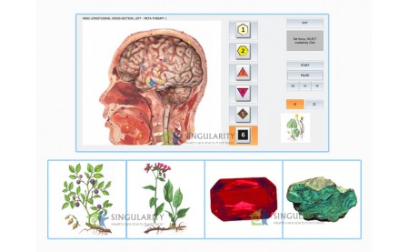 Potential Of NLS Method In Diagnosing- Biophilia Tracker